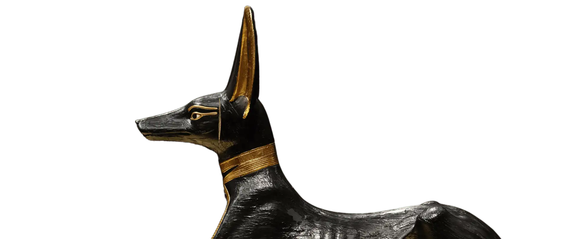 Perro_Pharaonico Perro_Pharaonico